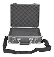 CASE-1310