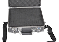 CASE-1310