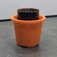 SCC-65-OR